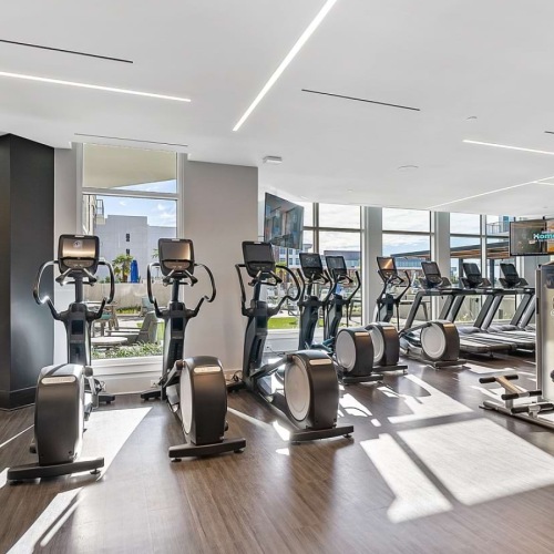 Cardio equipment inside fitness center