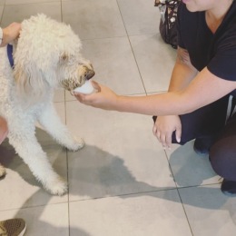 Instagram post from @elementsouthpark on July 19, 2023 16:43:43pm